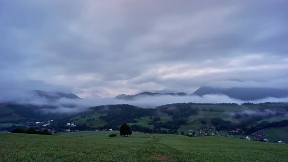 Foggy morning in a rural summer landscape ,4K