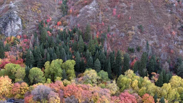 Panning aerial view of colorful canyon during Fall