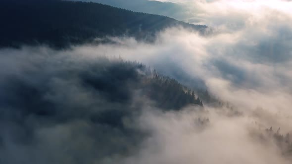 Magic Morning Flight Above Foggy Forest Nature at Sunrise in Misty Landscape Heaven 4K Aerial View