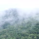 Cloudy mountains, rainforest landscape,Green forest in the fog - VideoHive Item for Sale