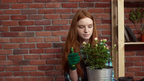 Beautiful Redhead Girl Looking After Flowers