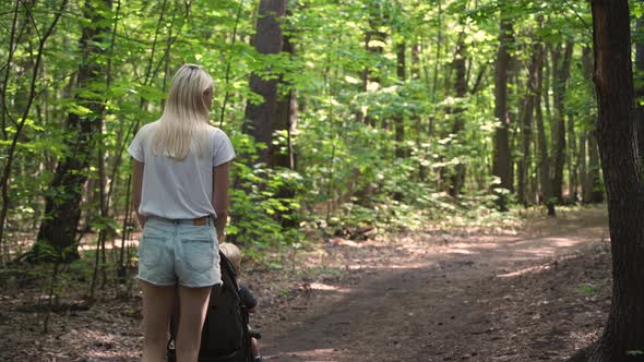 Back view of a mother walking with a stroller in the woods.