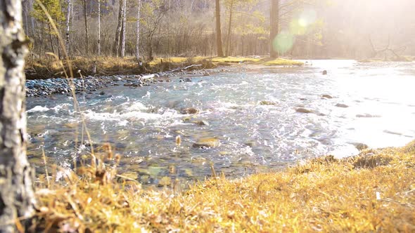 Dolly Slider Shot of the Splashing Water in a Mountain River Near Forest. Wet Rocks and Sun Rays