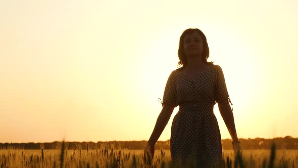 Young Beautiful Woman Walks Across the Field, Touching Ears of Wheat, During Sunset.