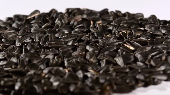 Sunflower Seeds on White, Rotation