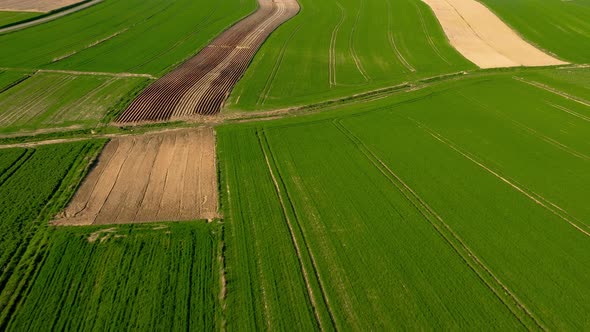 Aerial View of Green Fields and Unplanted Areas