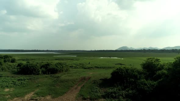 Cinematic Aerial View Of Minneriya National Park Sri Lanka, Water Resevoir And Mountains