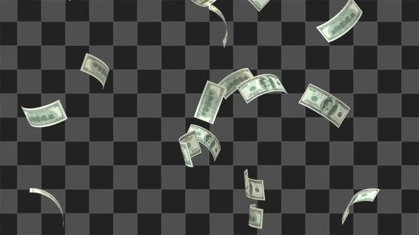 Flying Dollars Loop alt