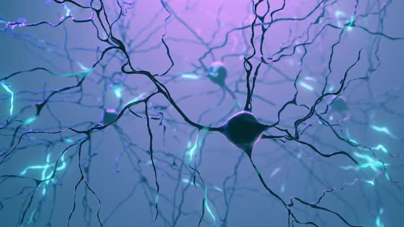 Neuron Cluster Signal Transfer Inside Human Brain