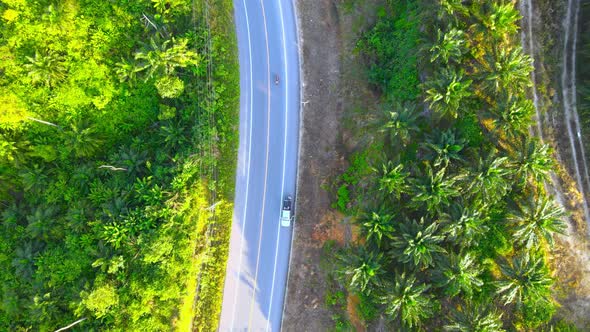 Aerial view road through the forest