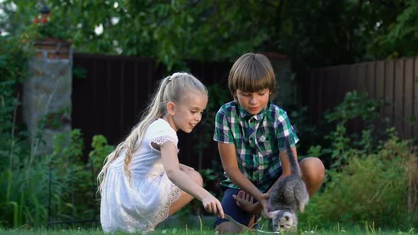 Cute Children Playing With Small Kitten Outdoors, Best Moments of Childhood