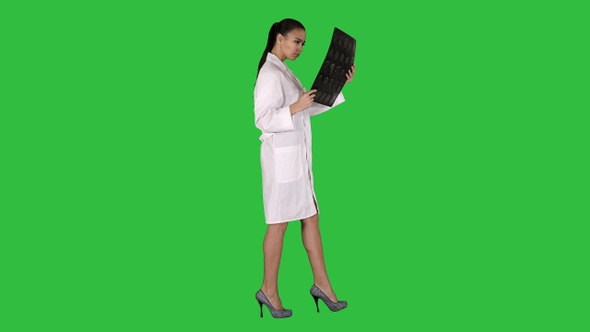 Intellectual woman healthcare personnel with white labcoat