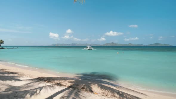 Tropical Beach Landscape