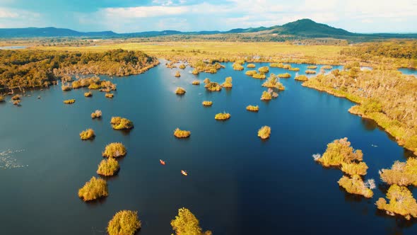 wetlands with various trees represent the integrity of the forest.