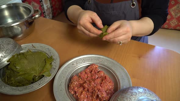 Turkish sarma. Turkish meal.