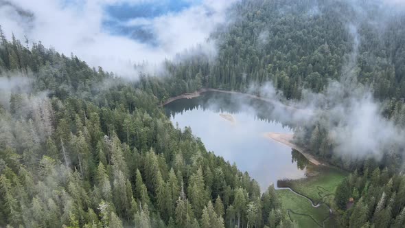 Mountain Lake Synevyr. Aerial View of the Carpathian Mountains in Autumn. Ukraine