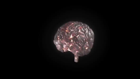 Animation of Neural Brain Activity Rotating on Black Background