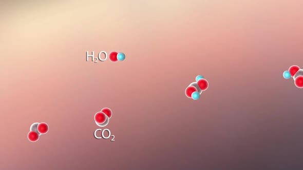 Acidosis, excessive production of acid in the blood or excessive loss of bicarbonate from the blood