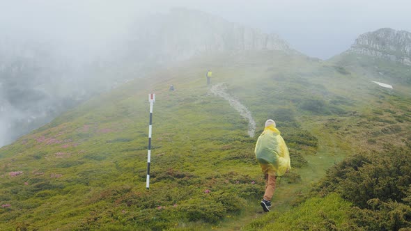 Woman going up the mountains passing through advancing fog.