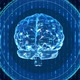 Ai Brain - VideoHive Item for Sale