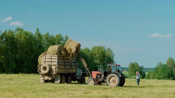 Harvesting Hay