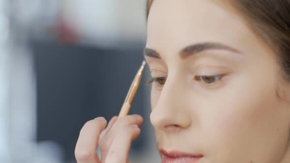 Makeup Artist Adjusts the Eyebrow Line with a Brush