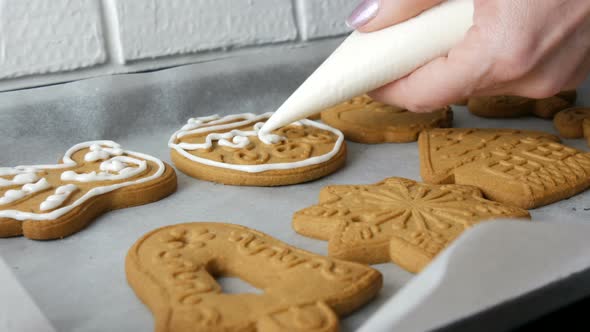 Christmas Holiday Gingerbread Cookie