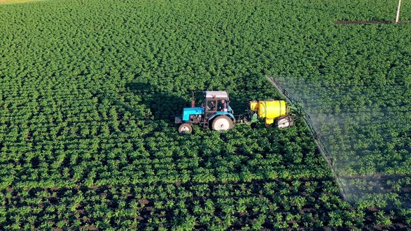 Chemicals Used By Agricultural Tractor. Industrial Vehicle Is Riding Along the Field and Spraying