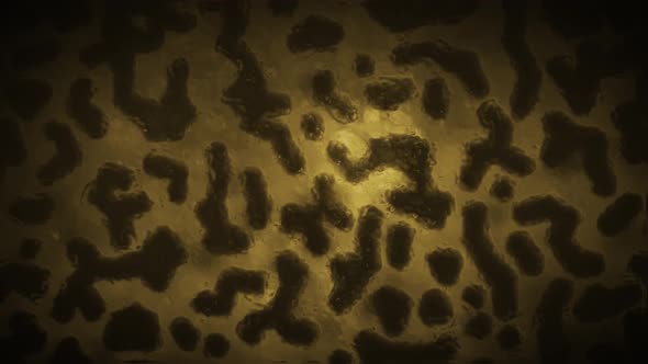 Cell Division Bacteria Life Medical Cinematic Microcosm Animation 4K Yellow