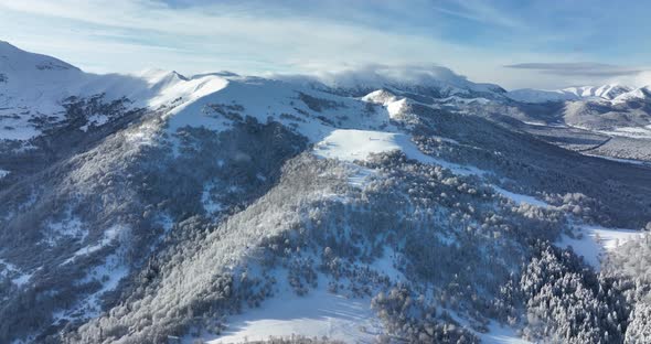 Aerial view of frozen forest with snow covered trees at winter. Flight above mountains in Bakuriani