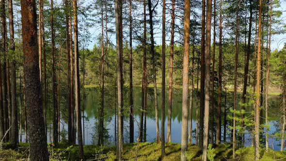 Lake and Forest in Finland