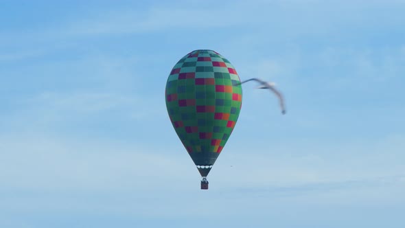 Colorful hot air balloon floating in blue sky, bird flying trough the frame, medium distant shot