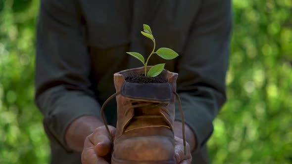 Senior man holding young plant in hands against spring green background