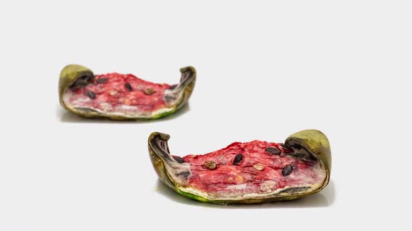 Piece of Ripe Watermelon Rotting on White Background, Slow Motion, Educational Cognitive Video, Time