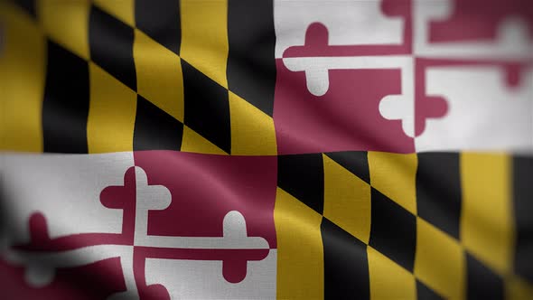 Maryland State Flag Front