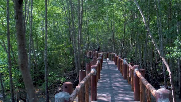 Beautiful Nature at Mu Ko Chumphon National Park is Located in the Southern of Thailand Chumphon