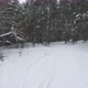 Snowy Road In The Forest - VideoHive Item for Sale