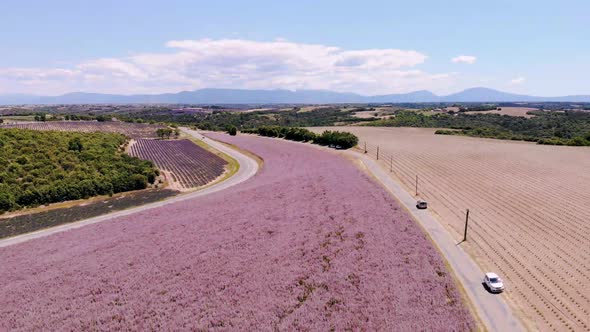 Valensole Plateau Provence Southern France