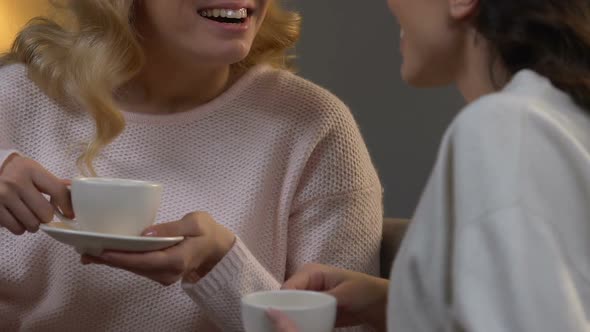 Close Female Friends Chatting About Life Drinking Fresh Hot Tea, Friendship