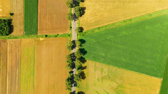 Green fields aerial view before harvest at summer. Road aerial