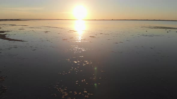 Sea Estuary. Flight Over Water. Sunset Over the Estuary. Birds Fly Over the Water Surface.