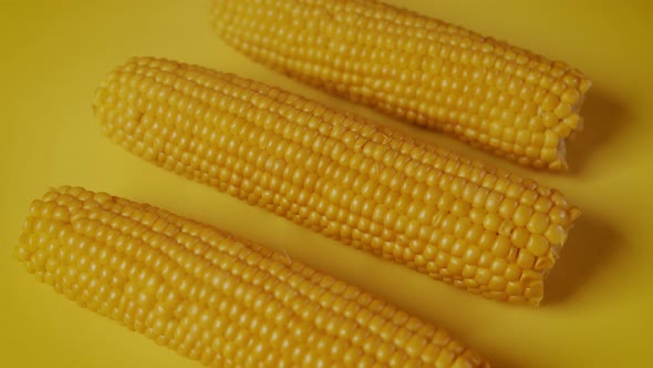 Delicious Boiled Sweet Corn on Yellow Background