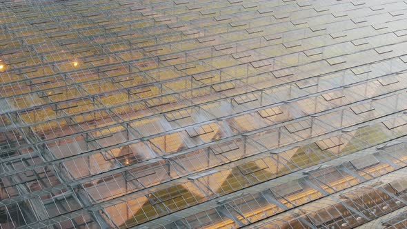 Buildings of Equipped Greenhouses with Rows of Fresh Plants