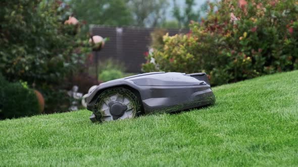 Robotic Lawn Mower Moving Across Lawn Robot Cuts Green Grass in the Backyard