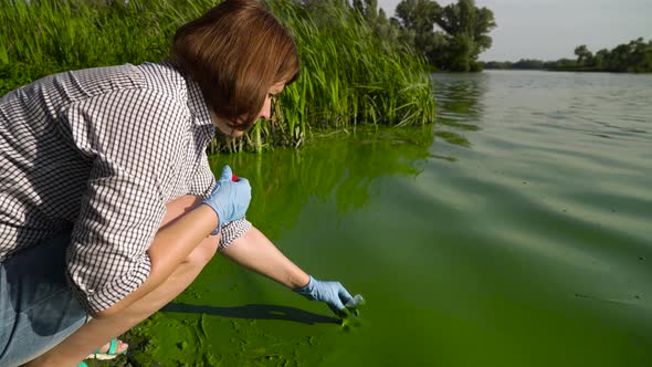 side view of woman ecologist taking samples of green algae in tube on riverbank