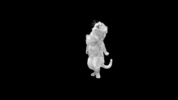 White Lion Dancing HD
