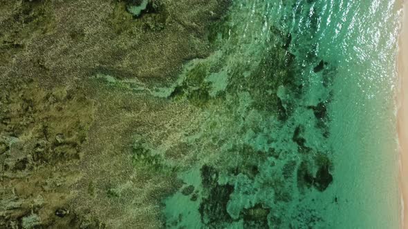 Aerial Top Down View on Reef Beach