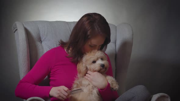 Beautiful Woman Combs the Fur of a Small Puppy on Chair