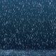 Rain background loop - VideoHive Item for Sale