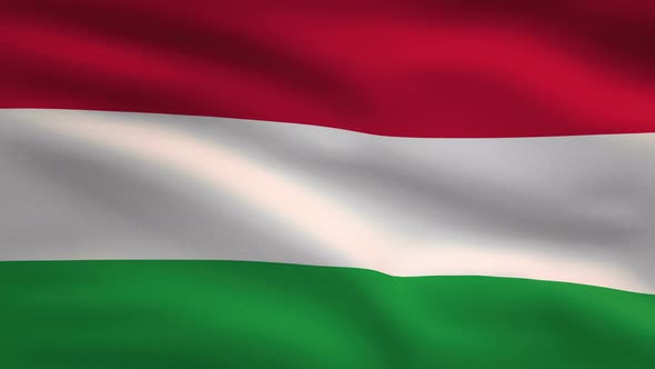 Hungary Windy Flag Background 4K